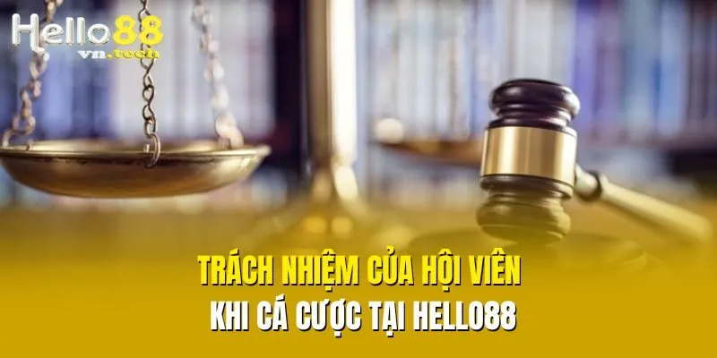 Trách nhiệm của hội viên khi cá cược tại Hello88